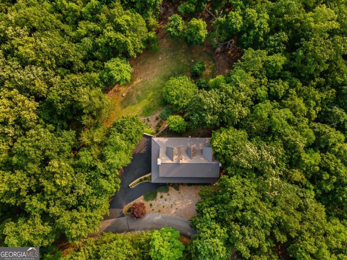 349 Moon Shadow View N Blairsville - Photo 9