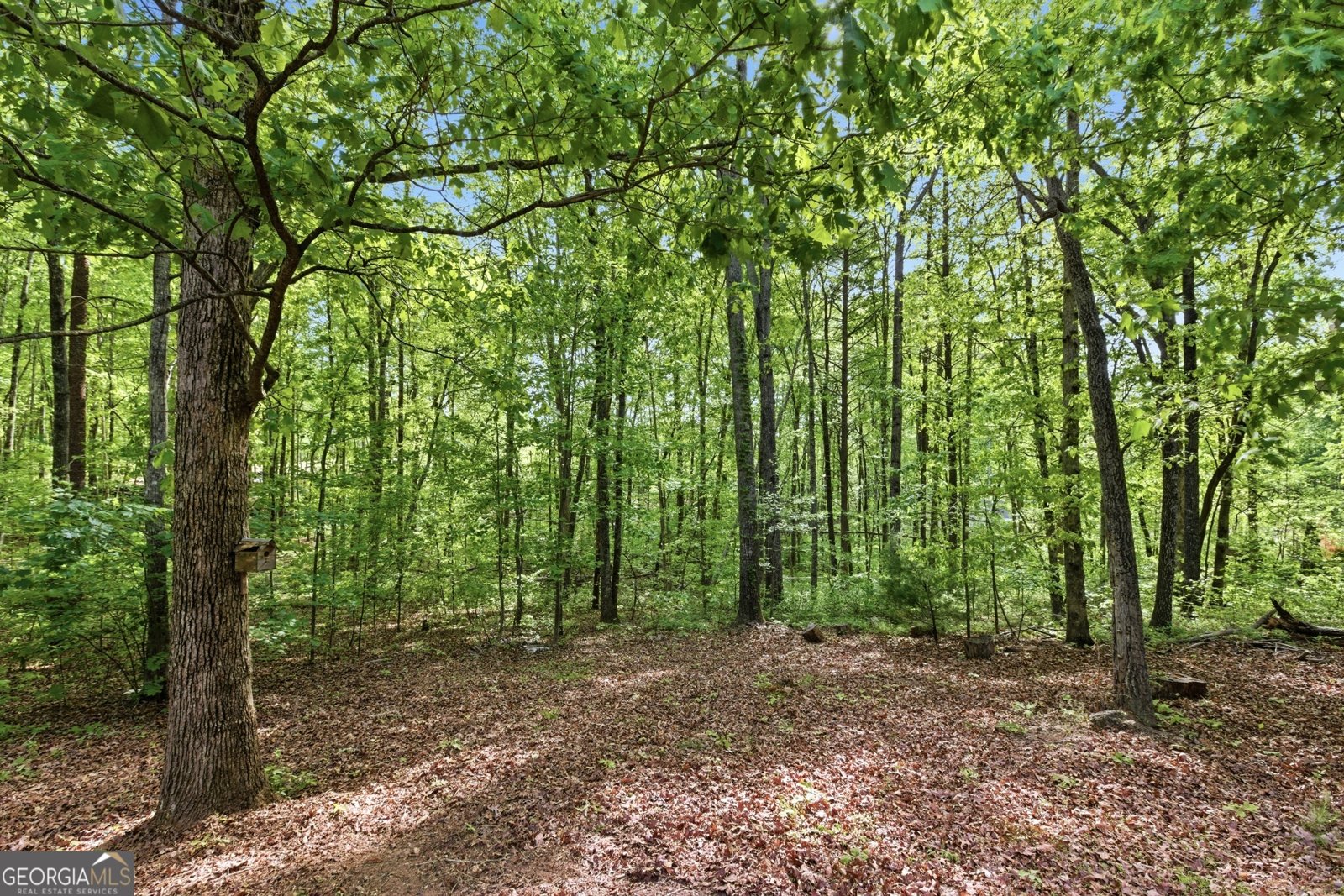 47 Terrys Place Cleveland - Photo 33