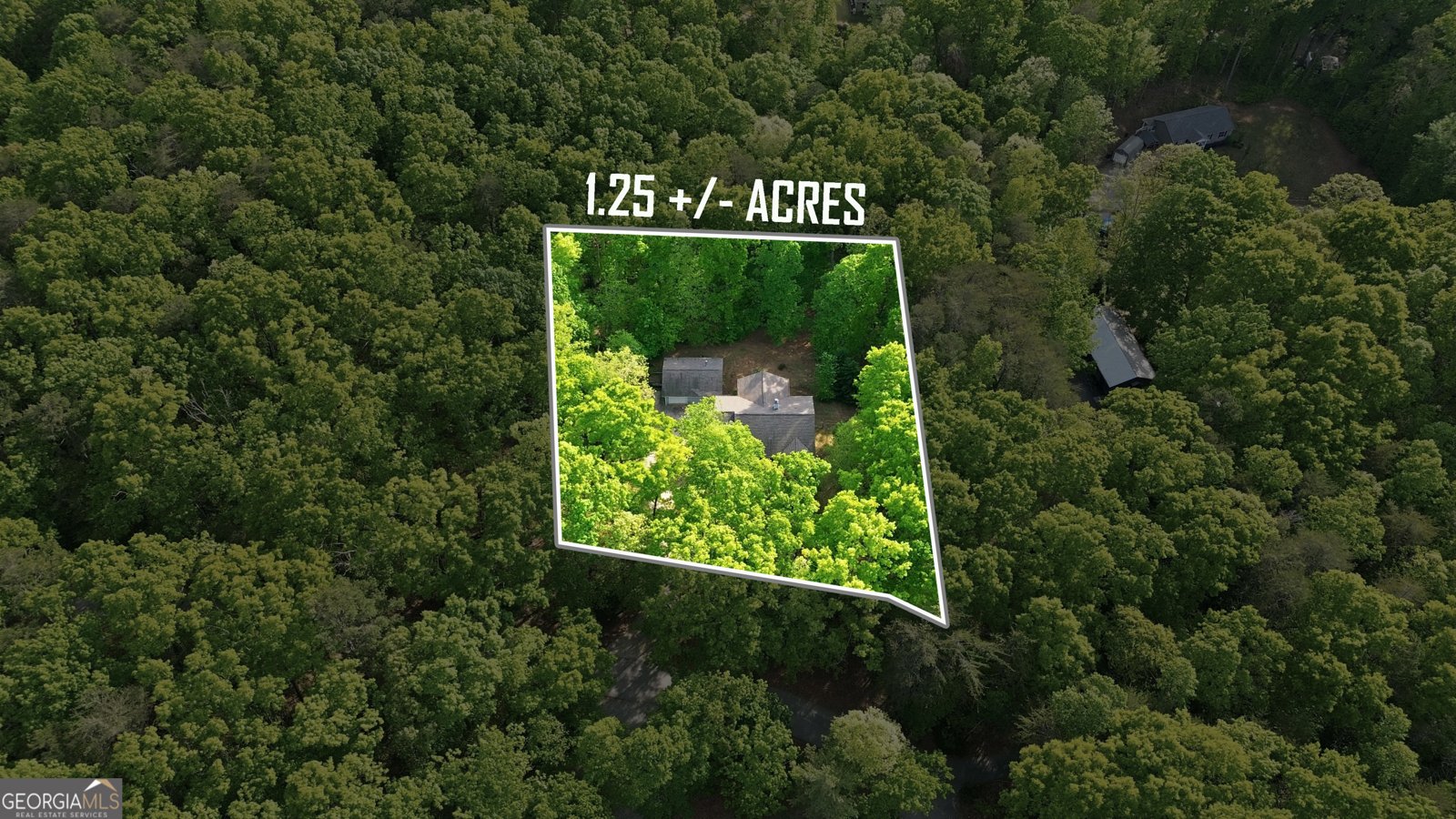 47 Terrys Place Cleveland - Photo 39