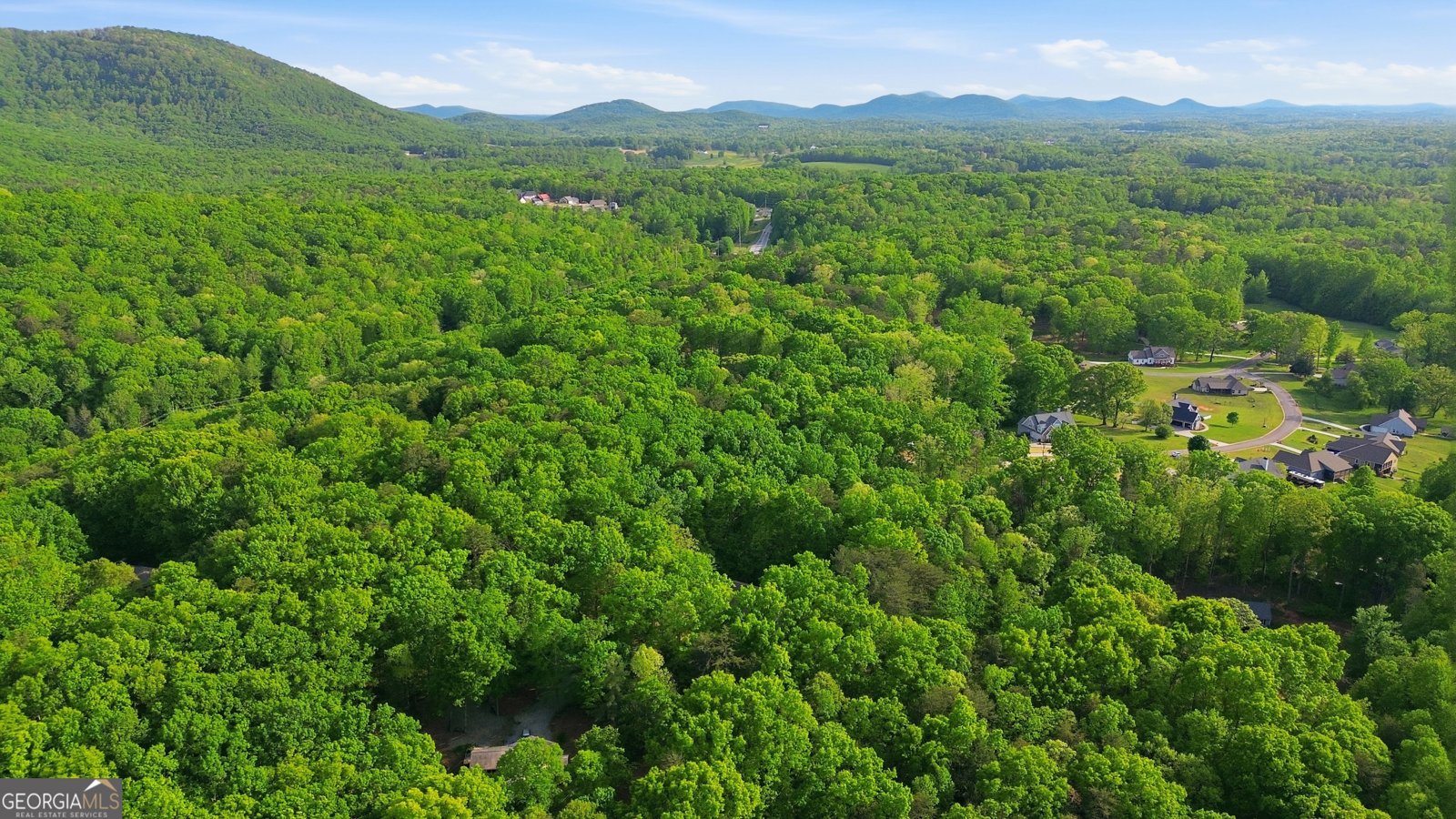 47 Terrys Place Cleveland - Photo 48