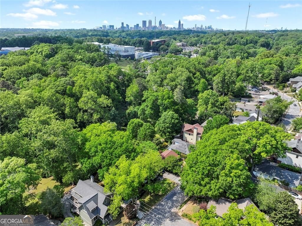 1245 Woodland Avenue Atlanta - Photo 45