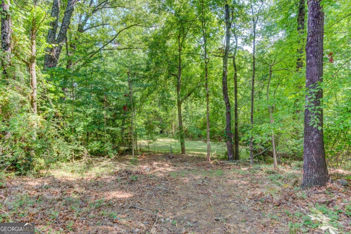 1051 Riverside Road Sugar Hill - Photo 70