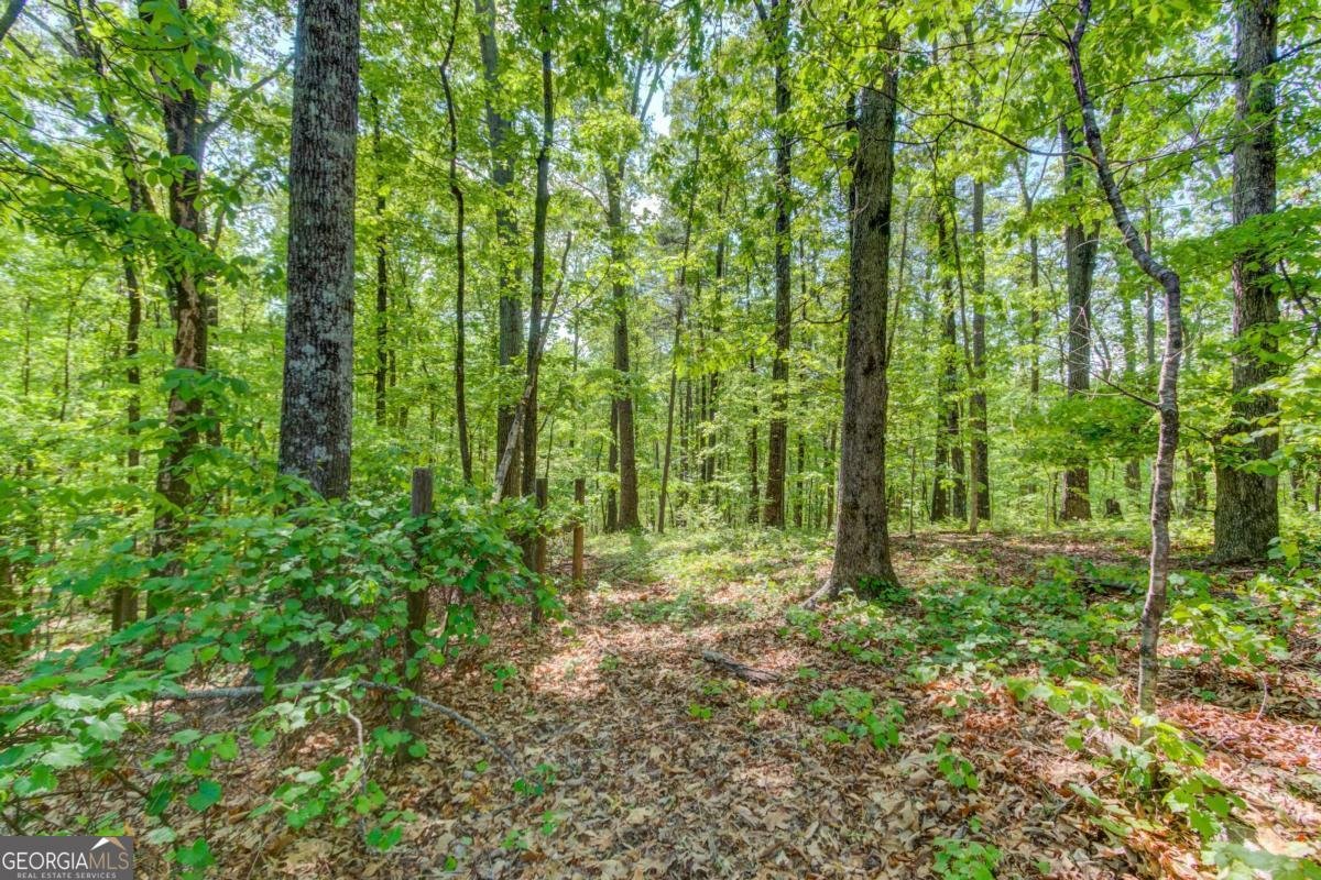 1051 Riverside Road Sugar Hill - Photo 77