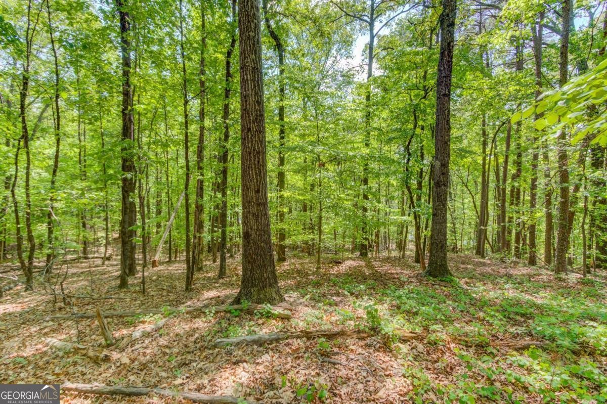 1051 Riverside Road Sugar Hill - Photo 78