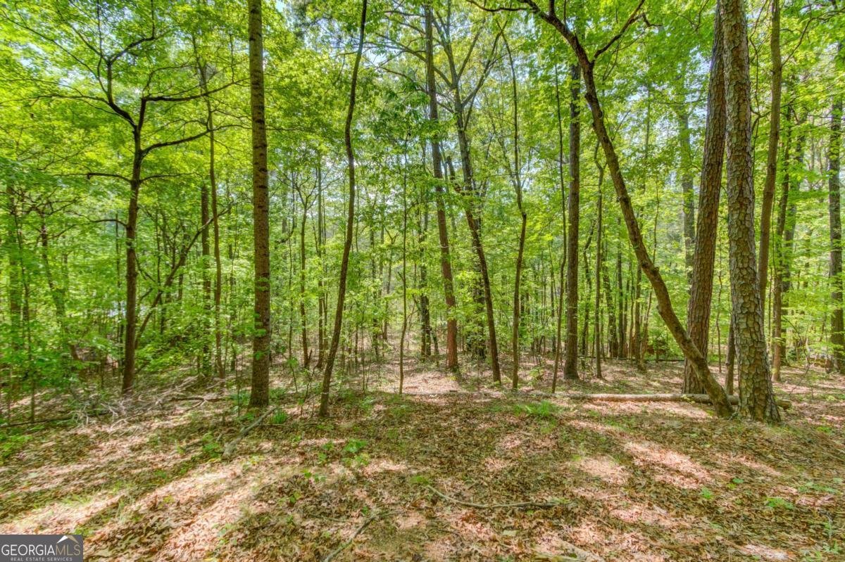 1051 Riverside Road Sugar Hill - Photo 79