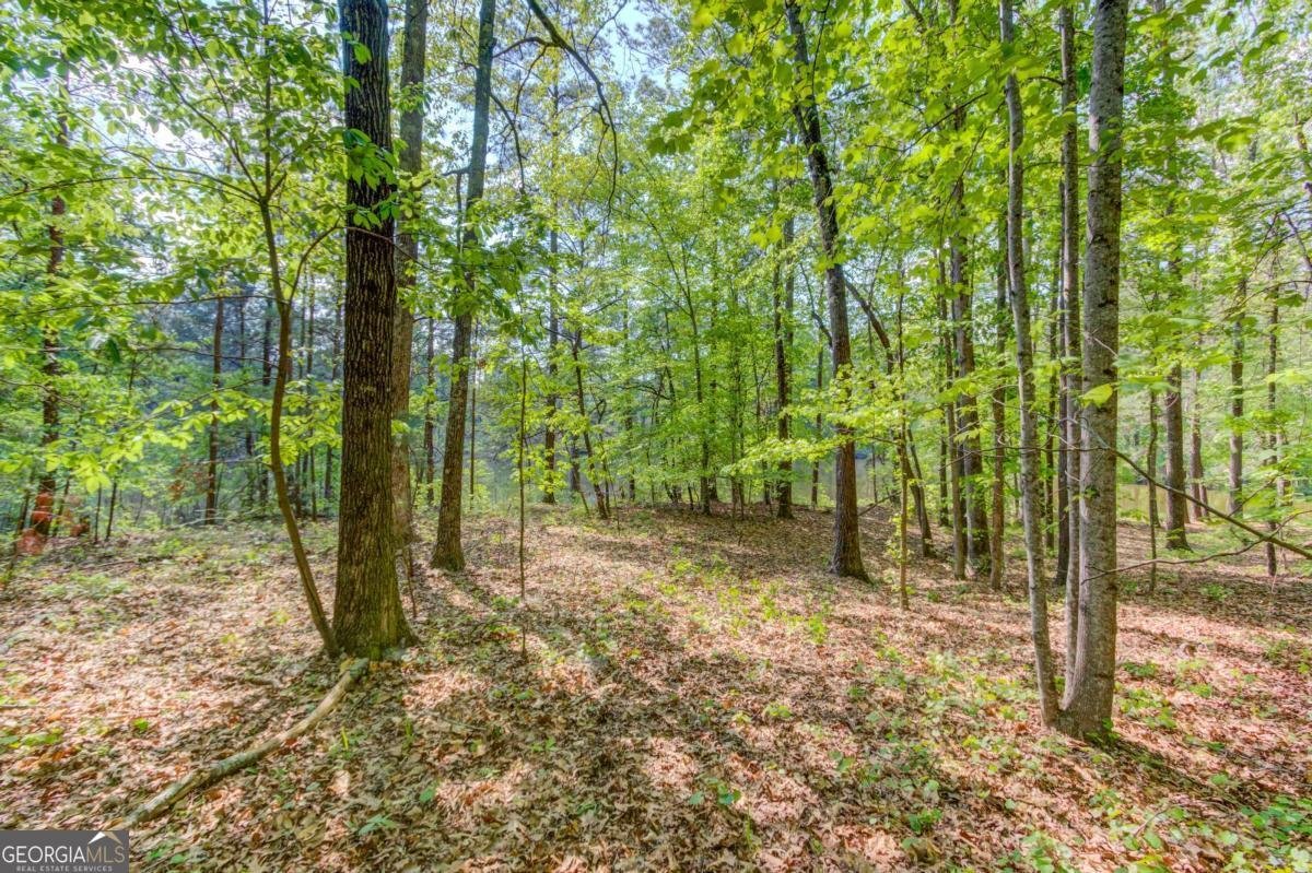 1051 Riverside Road Sugar Hill - Photo 80