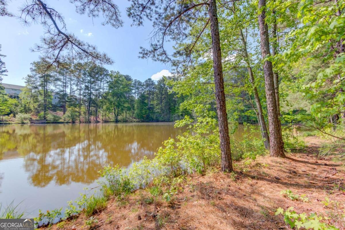 1051 Riverside Road Sugar Hill - Photo 81