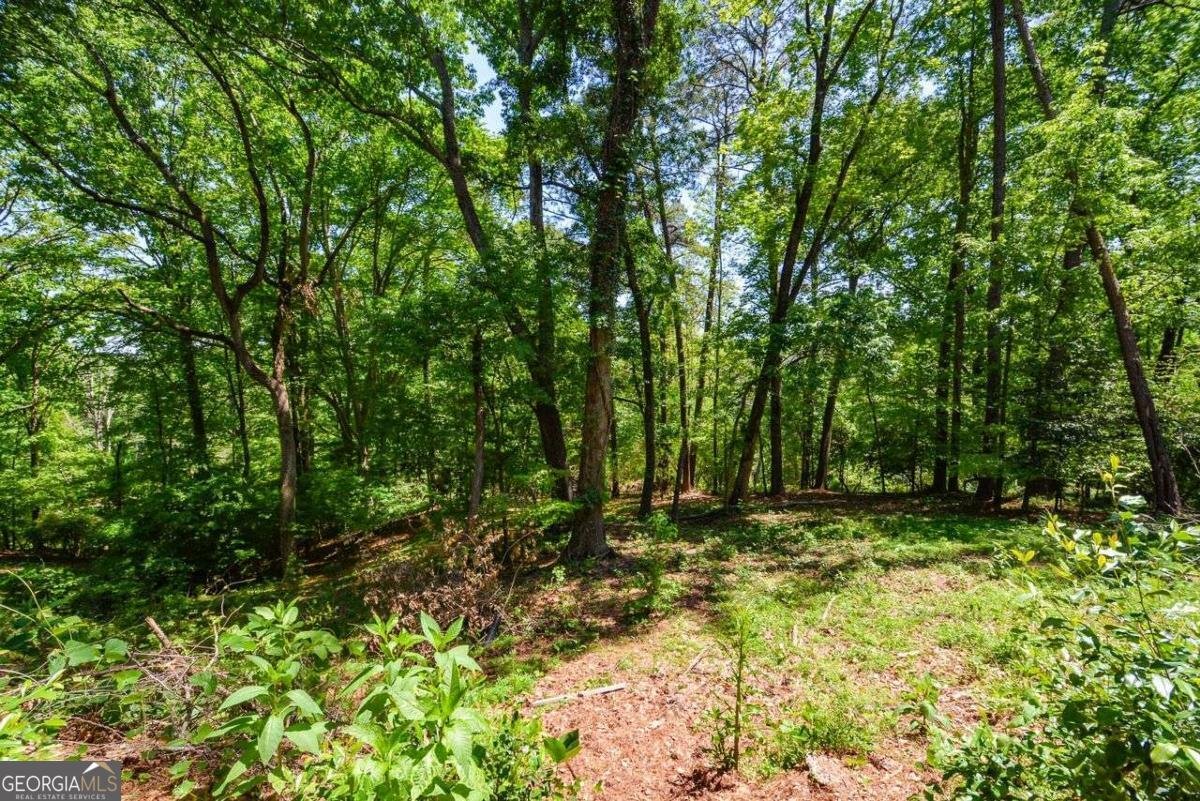 2078 River Heights Walk Marietta - Photo 38