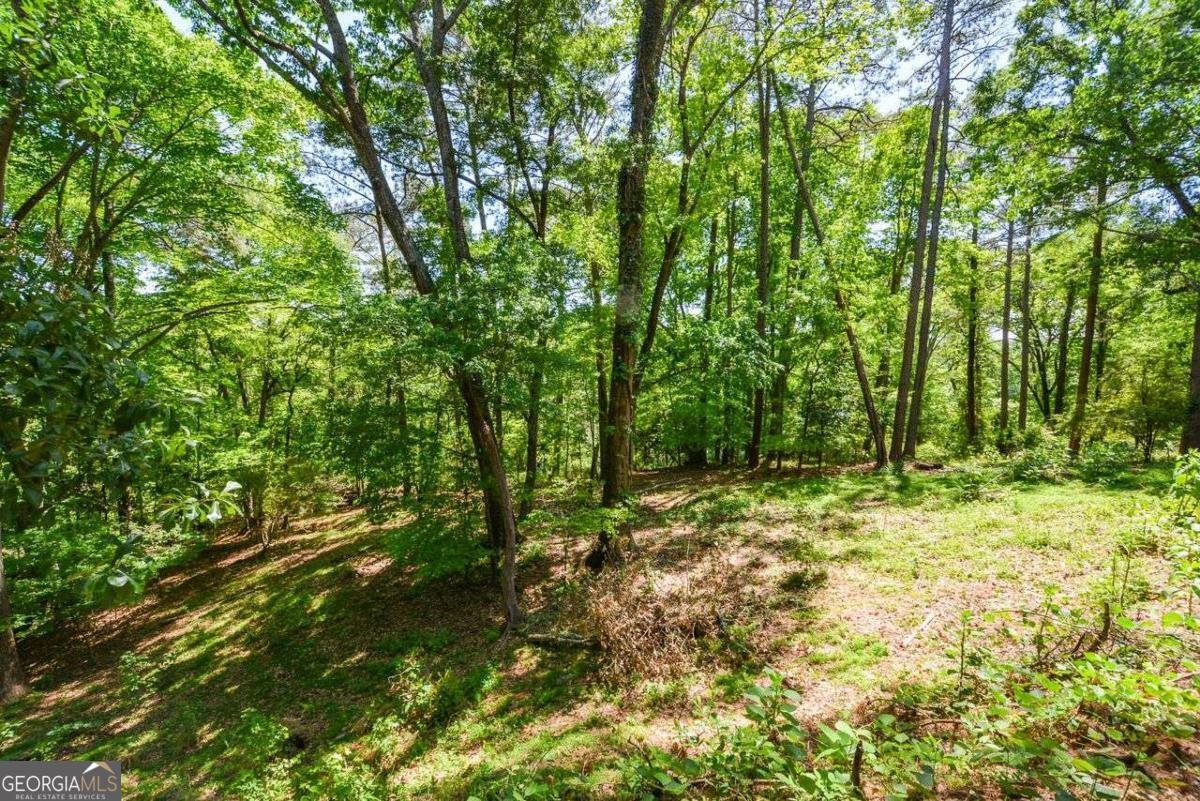 2078 River Heights Walk Marietta - Photo 39