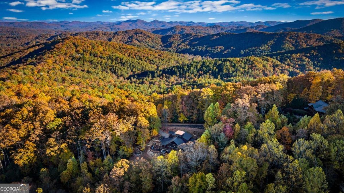 904 Raccoon Road Blue Ridge - Photo 17