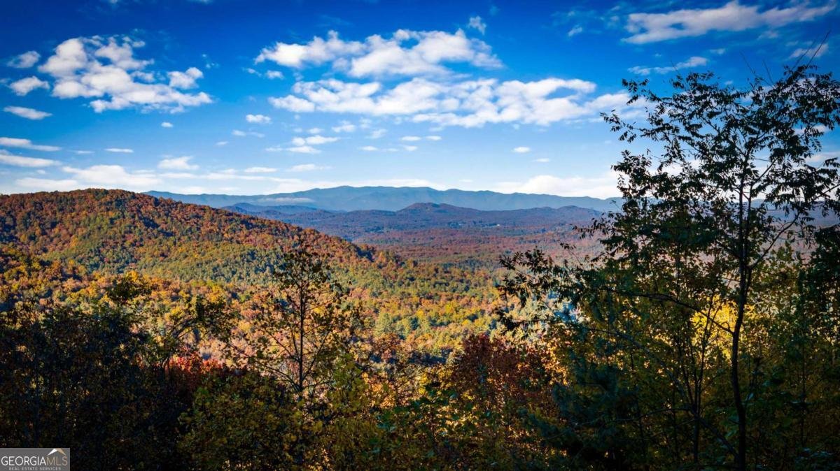 904 Raccoon Road Blue Ridge - Photo 20