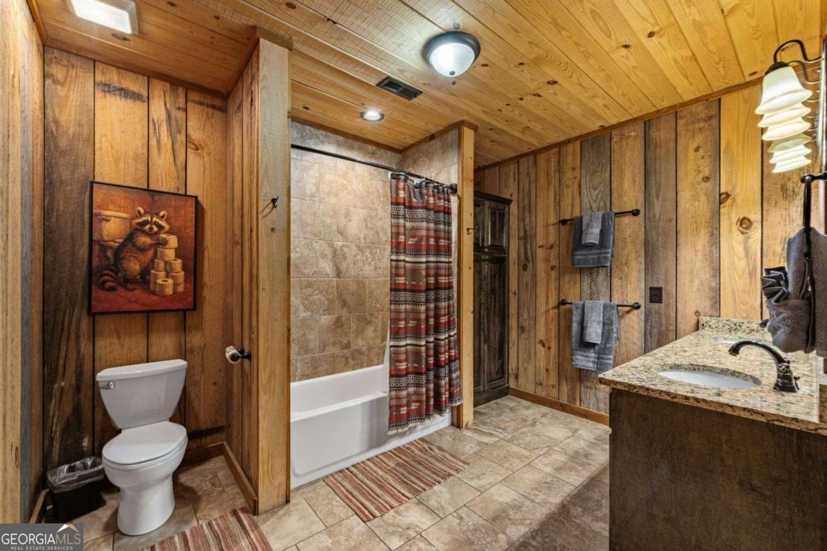 904 Raccoon Road Blue Ridge - Photo 66