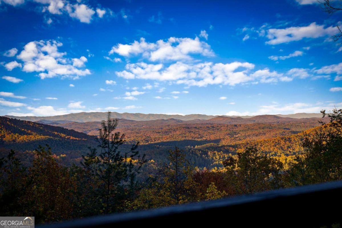 904 Raccoon Road Blue Ridge - Photo 74