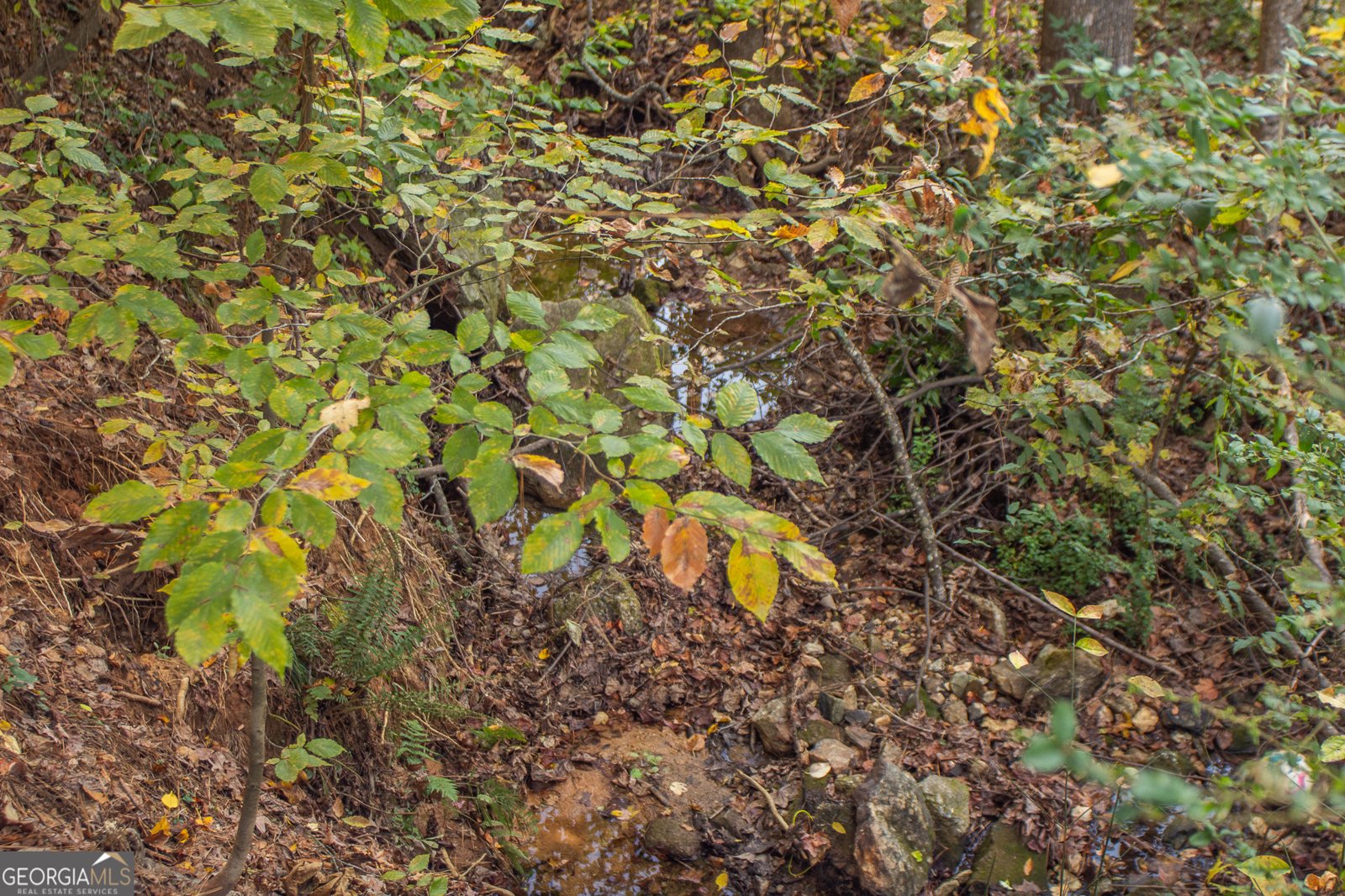 1451 Mount Water Court Lawrenceville - Photo 30