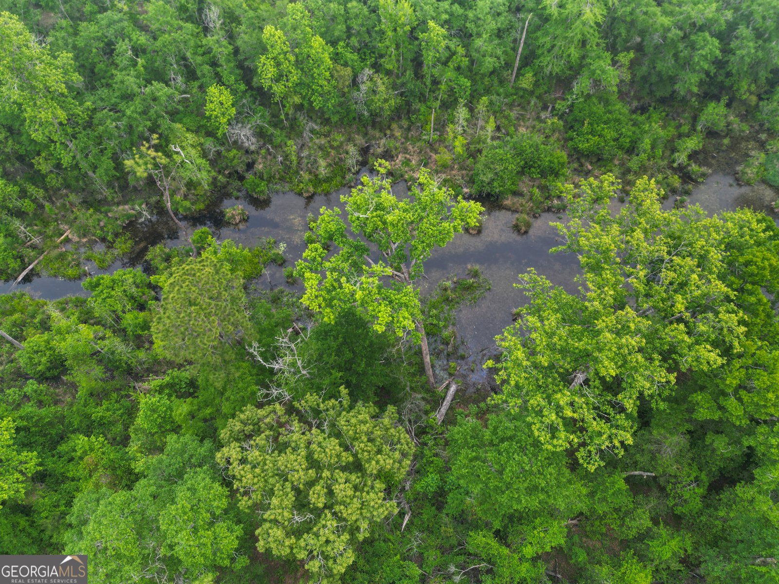 565 Bragg Road Brooklet - Photo 40