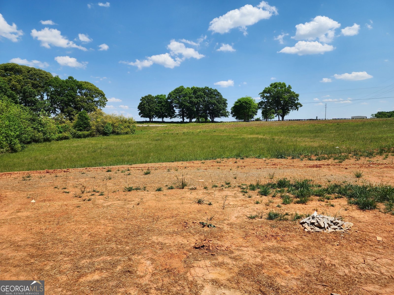 167 Ivey Trace Court Pendergrass - Photo 9