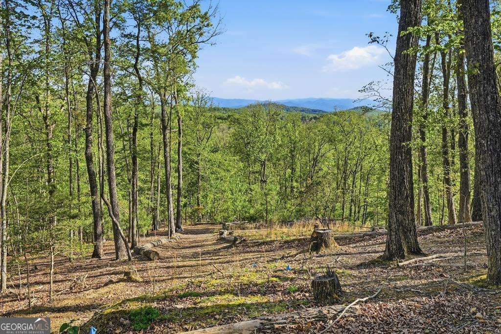 194 Quiet Woods Trail Murphy - Photo 44