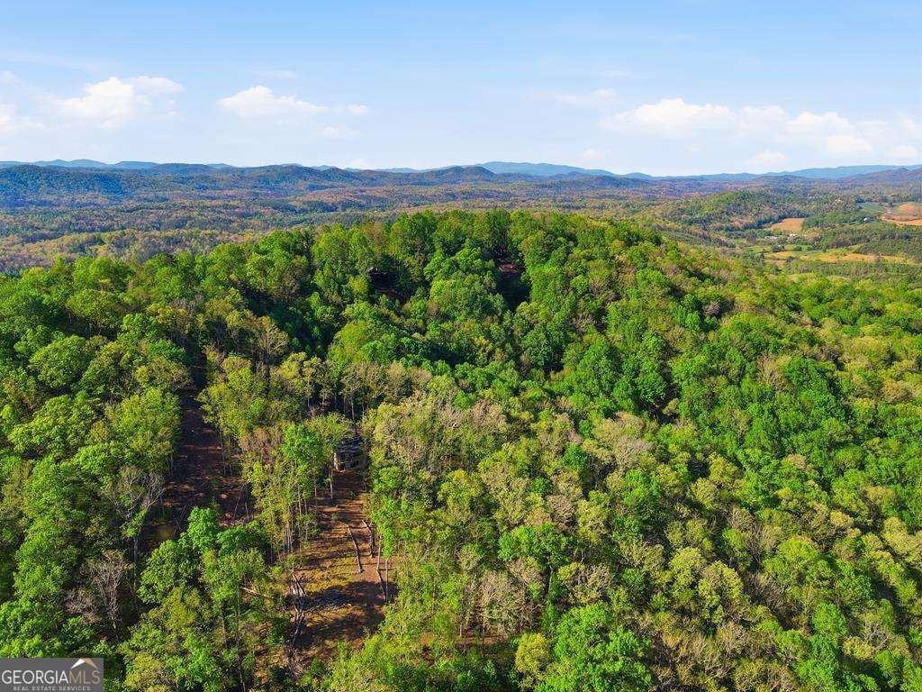 194 Quiet Woods Trail Murphy - Photo 45