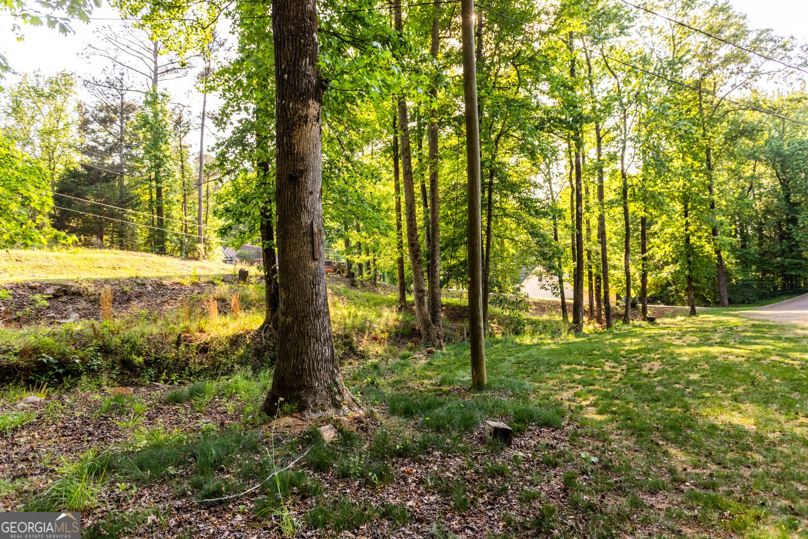 325 Clearbrook Drive Covington - Photo 53