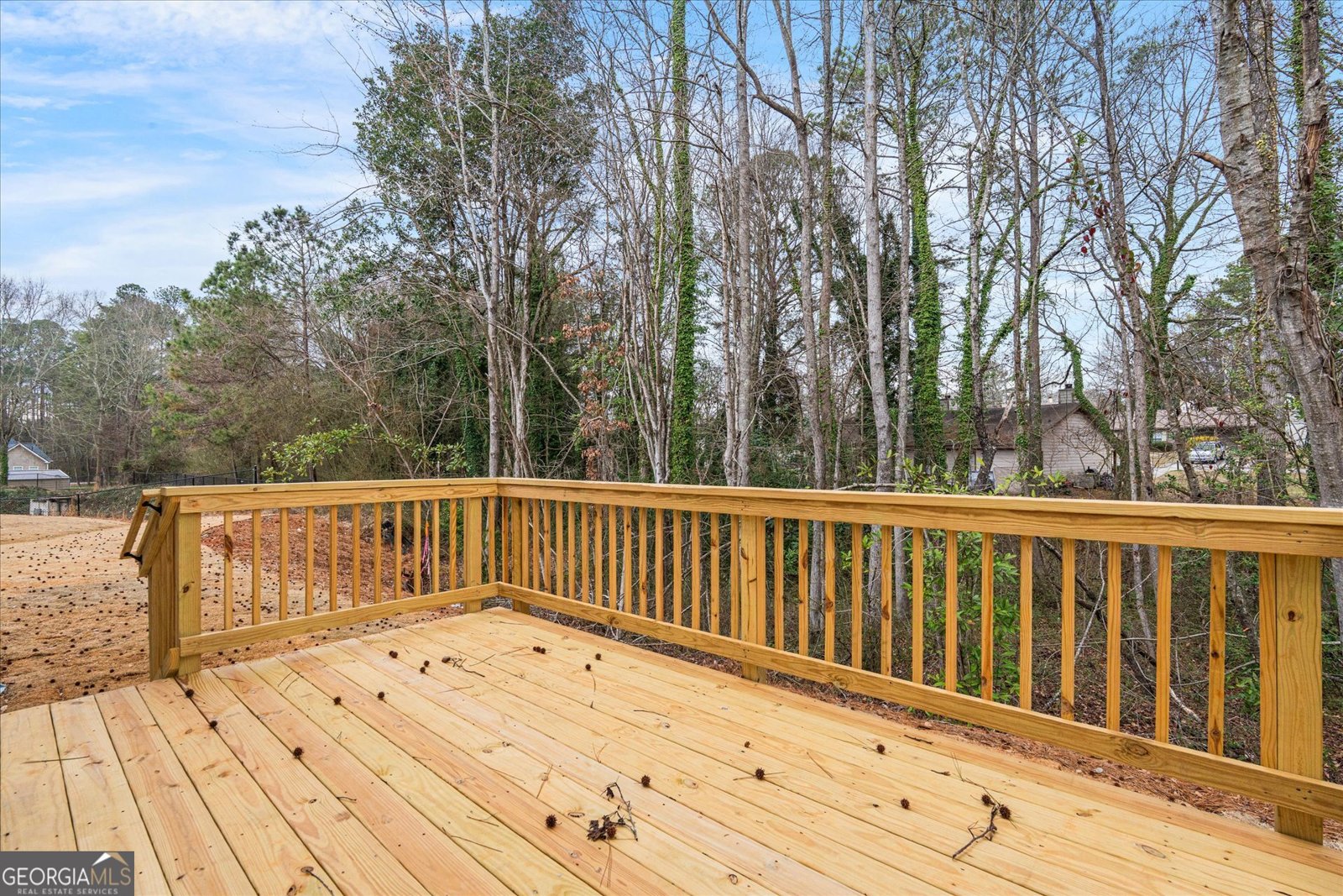 214 Laney Drive Carrollton - Photo 34