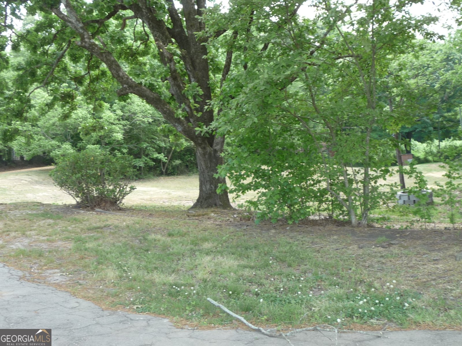 1184 Highway 124 Hoschton - Photo 6