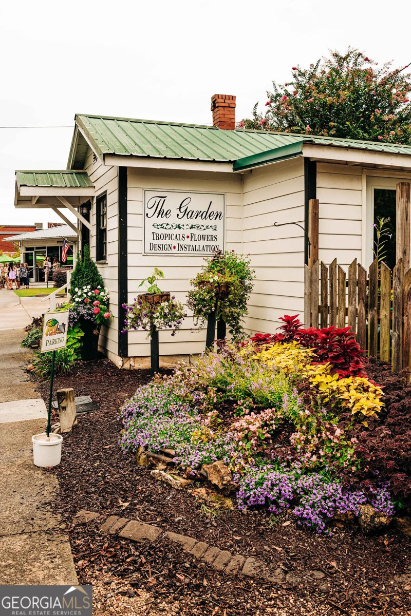 356 Scarlett Rose Way Hoschton - Photo 42