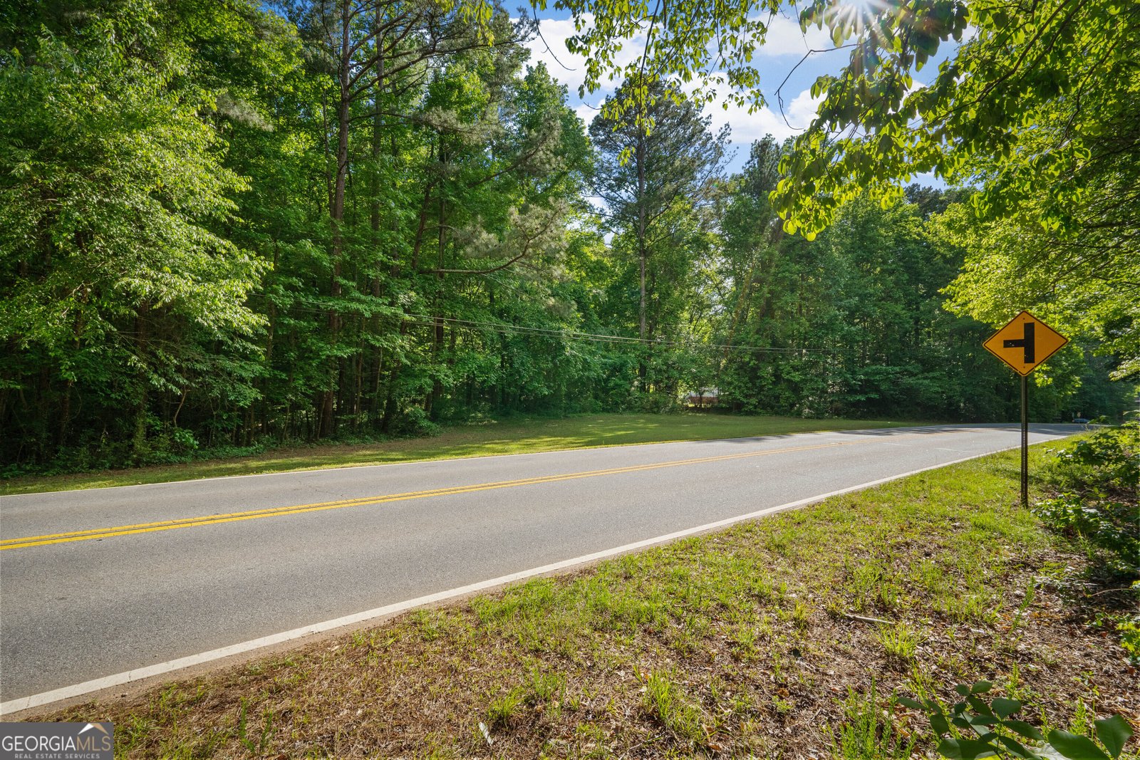 20 Clark Hill Road Newnan - Photo 61