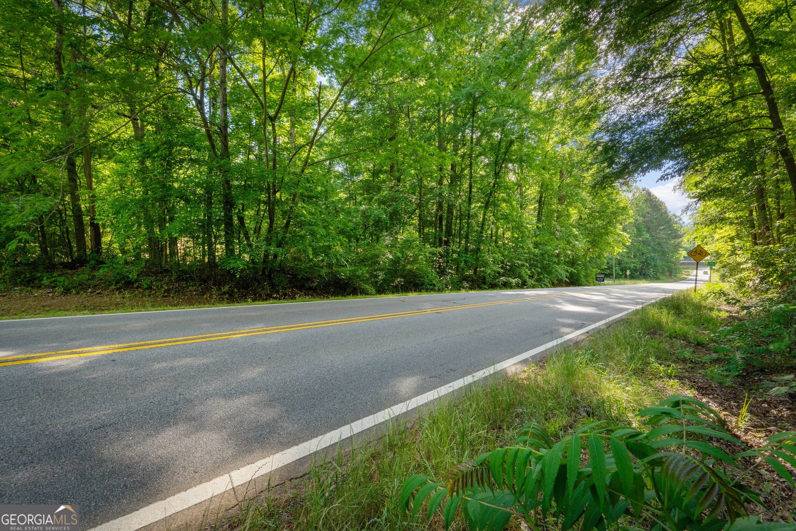 20 Clark Hill Road Newnan - Photo 62