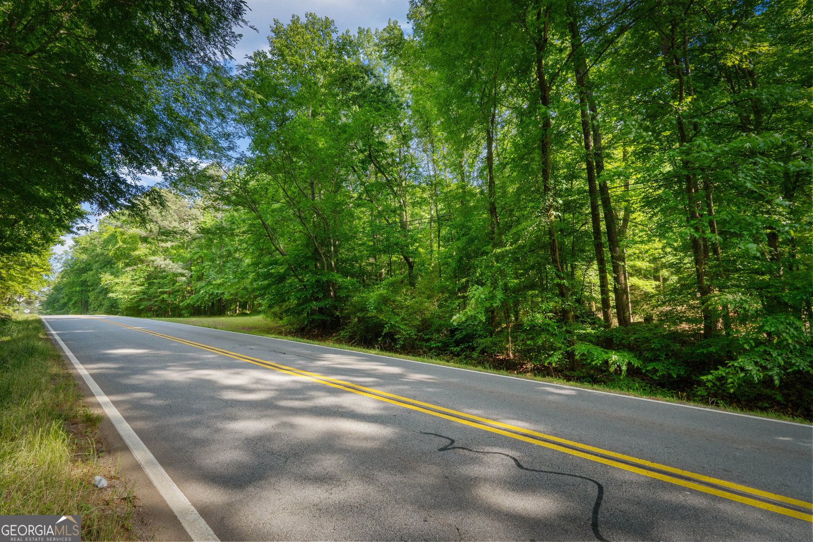 20 Clark Hill Road Newnan - Photo 64