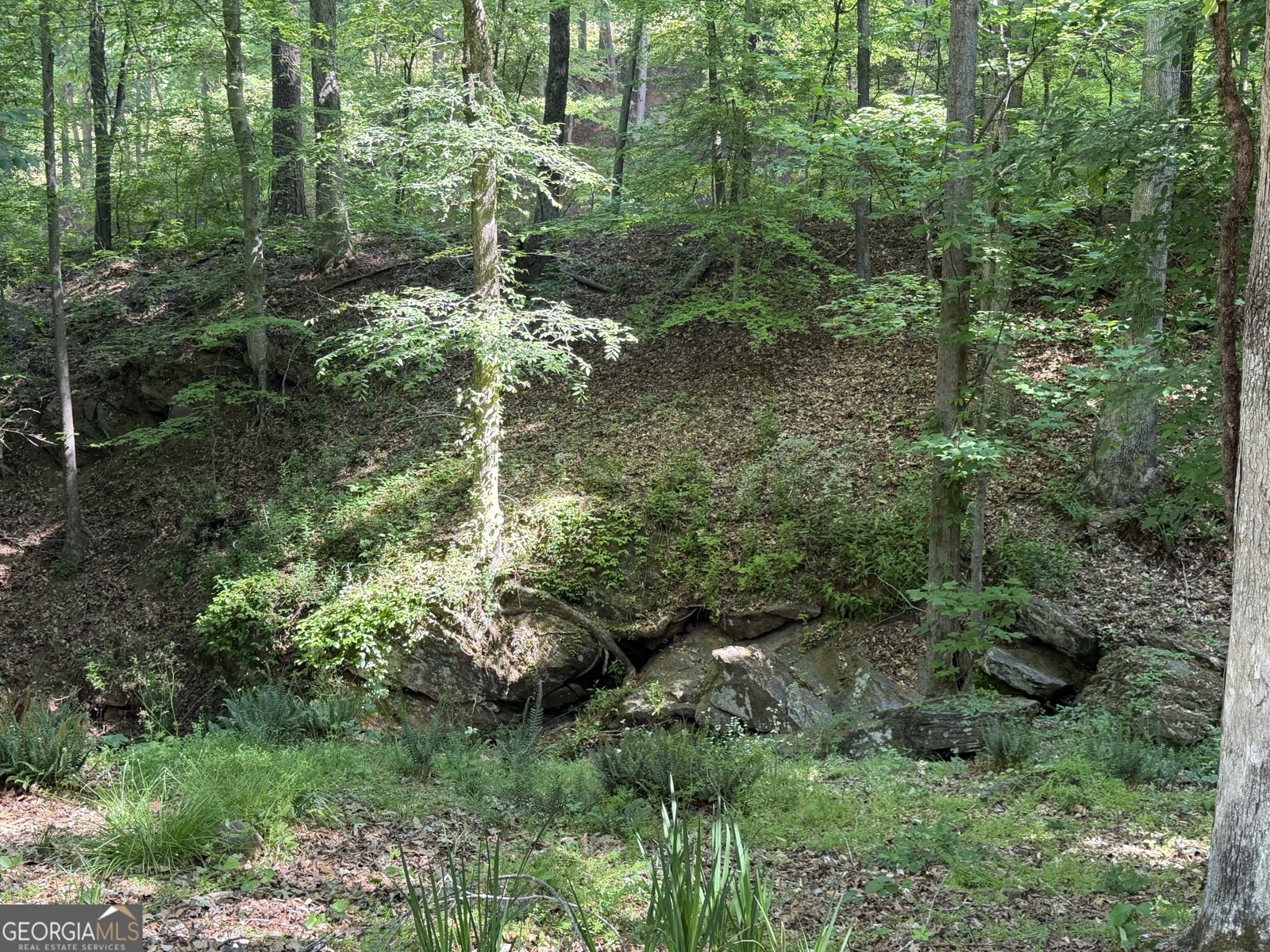 20 Clark Hill Road Newnan - Photo 8