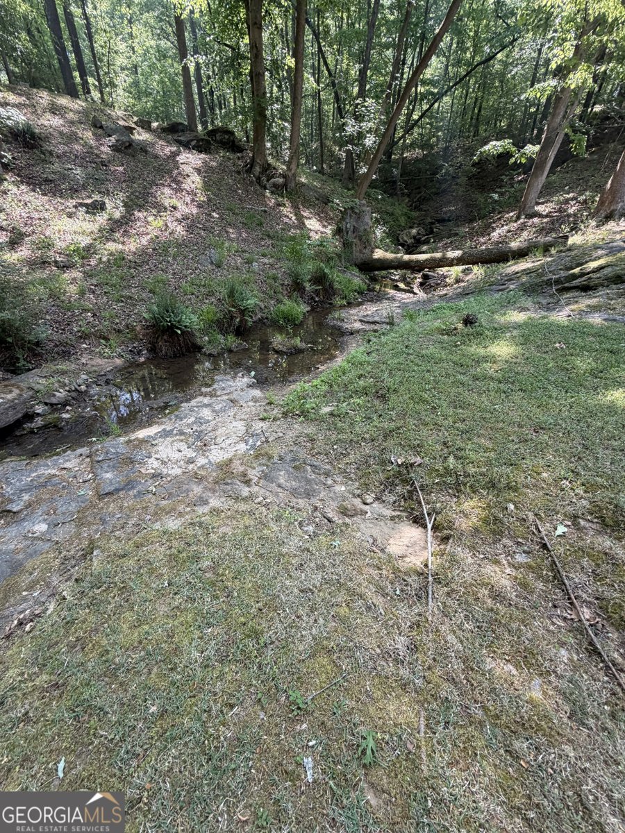 20 Clark Hill Road Newnan - Photo 9