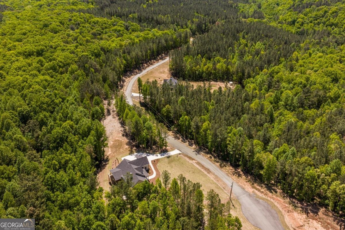 41 Lone Bear Path Dallas - Photo 69