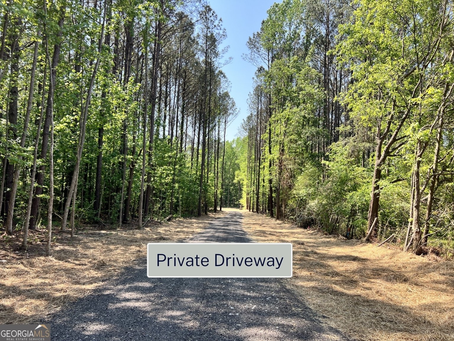 3341 Hwy 16 Sharpsburg - Photo 14