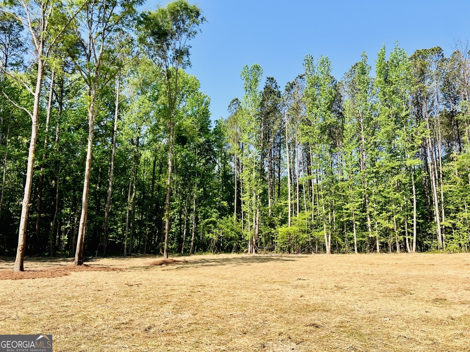 3341 Hwy 16 Sharpsburg - Photo 17