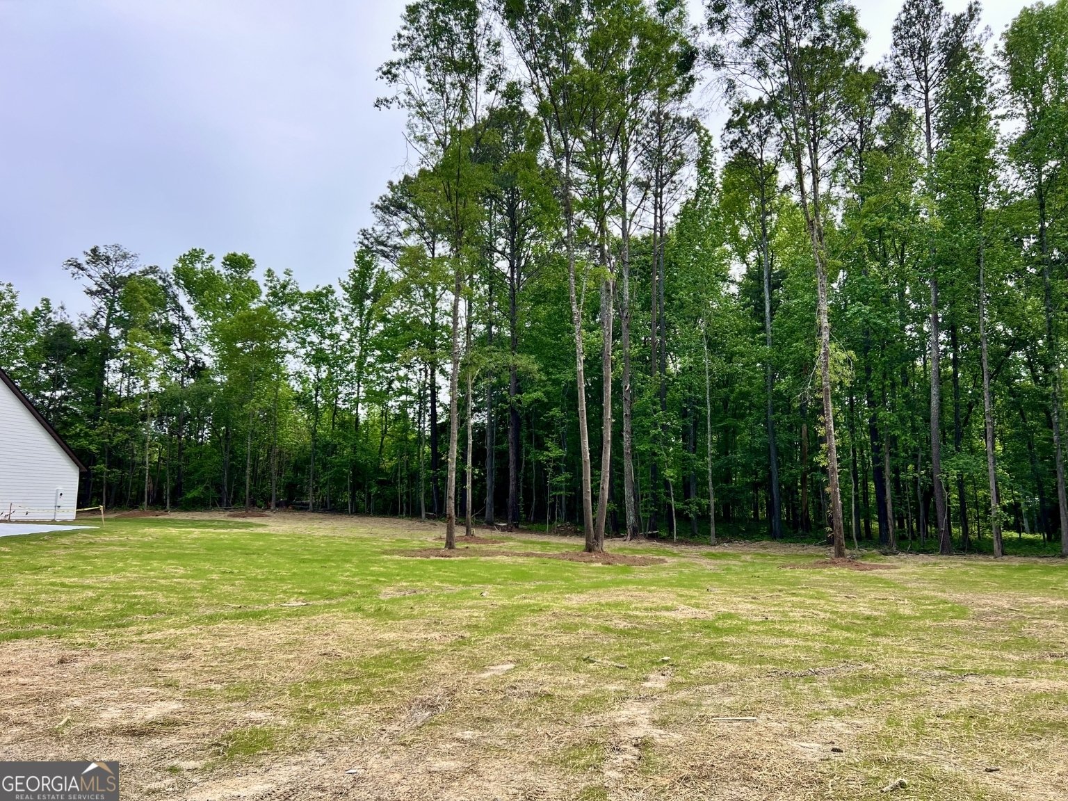 3341 Hwy 16 Sharpsburg - Photo 25