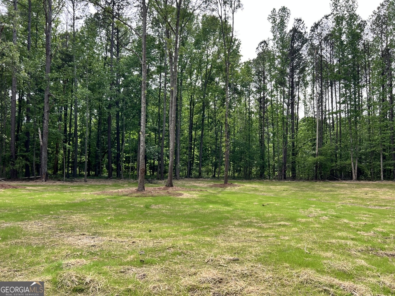 3341 Hwy 16 Sharpsburg - Photo 26