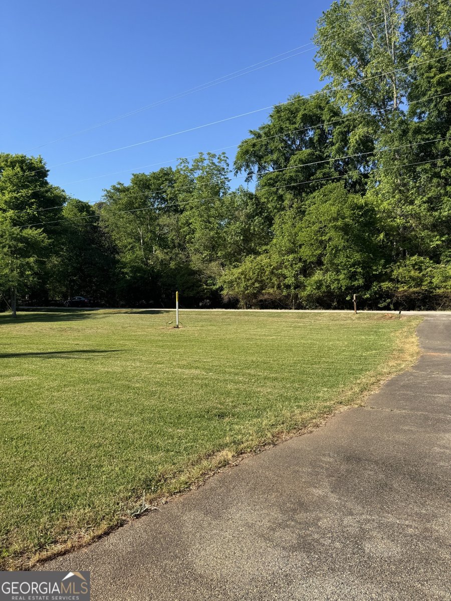 2695 Ga Highway 11 Hillsboro - Photo 13