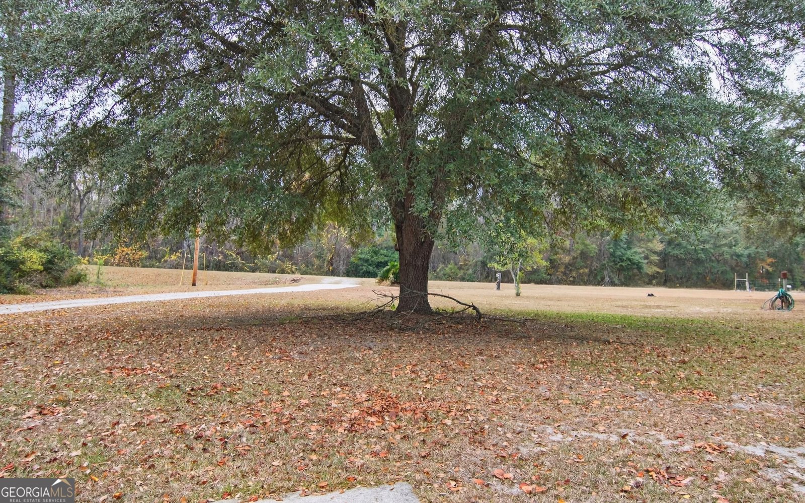 3900 Nevils Groveland Road Pembroke - Photo 21