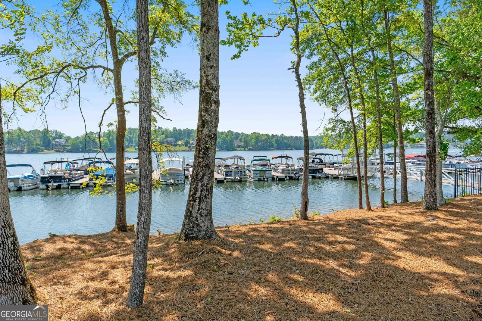 54 North Cove Drive Newnan - Photo 55