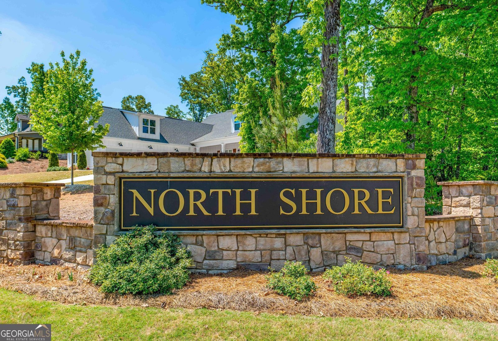 54 North Cove Drive Newnan - Photo 60