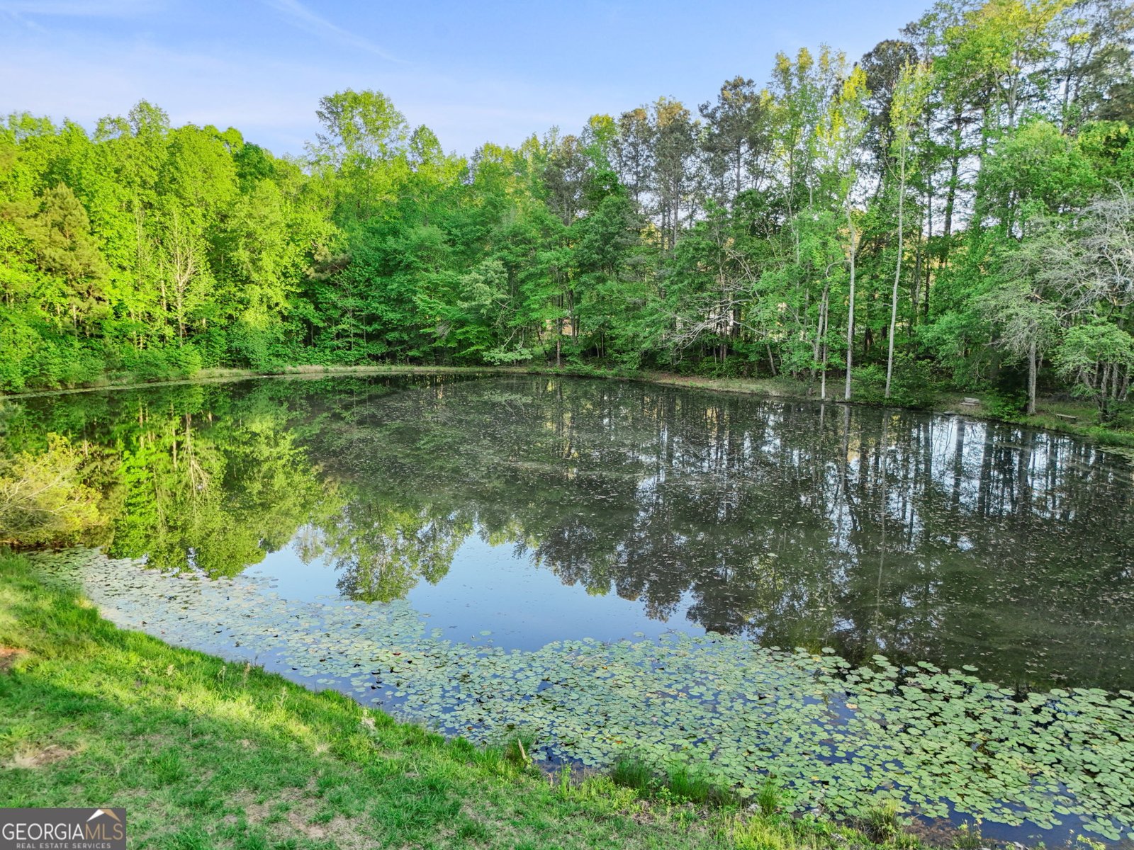143 Cedar Creek Road Newnan - Photo 33
