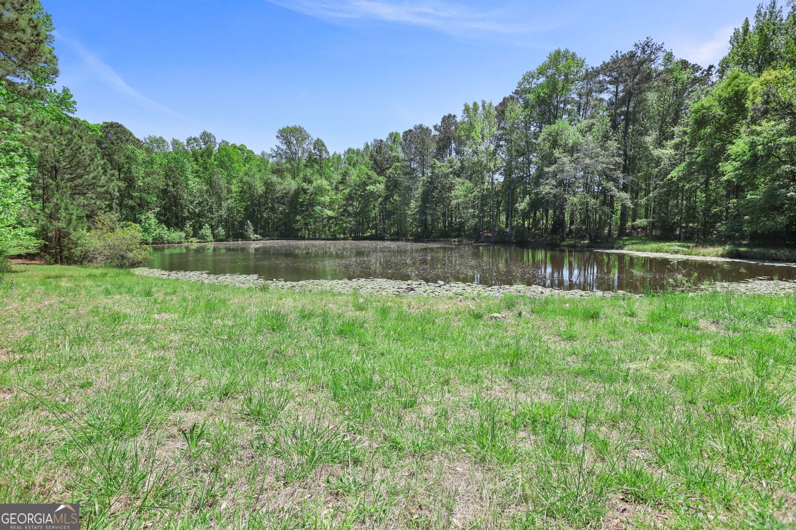 143 Cedar Creek Road Newnan - Photo 46