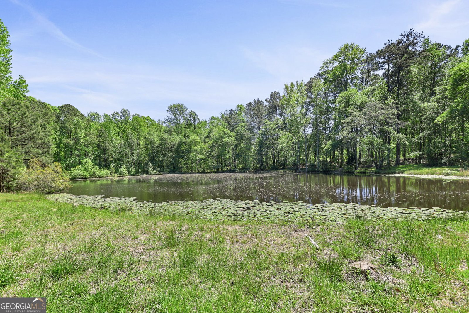 143 Cedar Creek Road Newnan - Photo 47