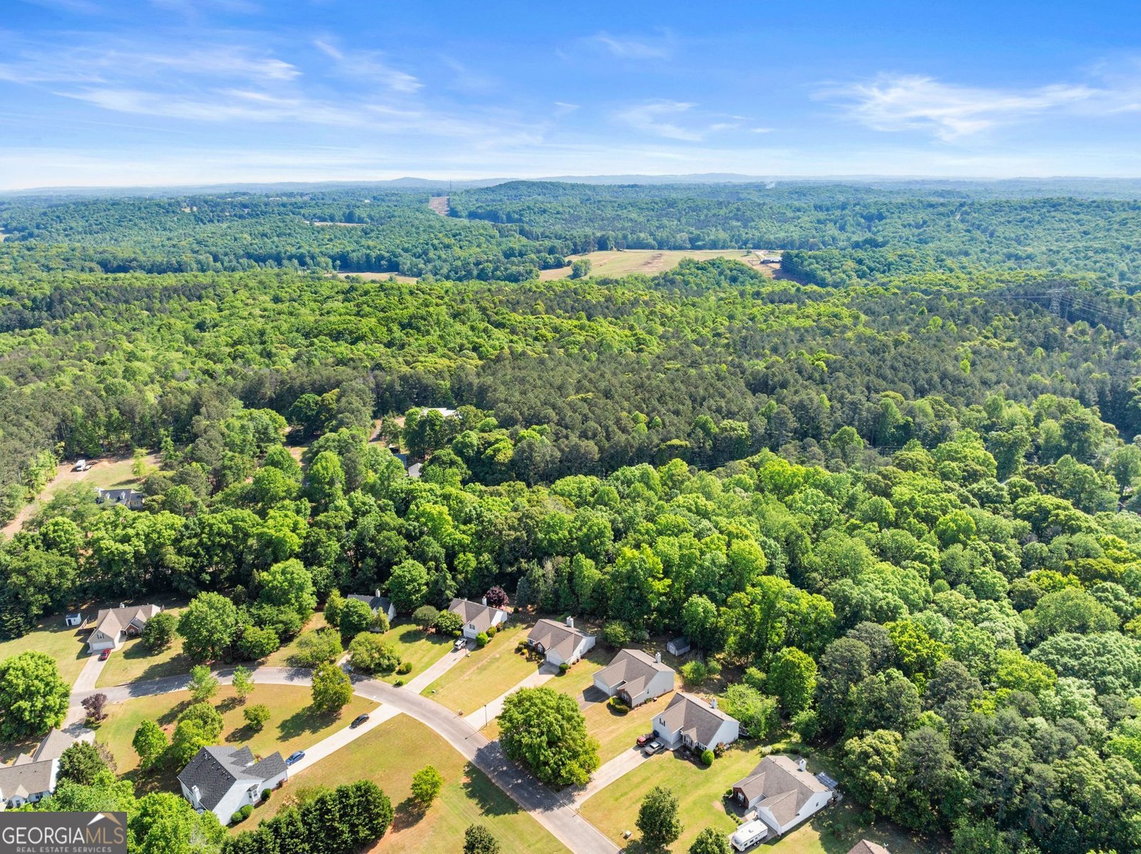 5433 Evergreen Forest Court Flowery Branch - Photo 40