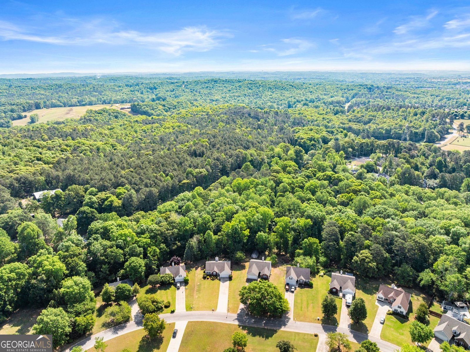 5433 Evergreen Forest Court Flowery Branch - Photo 42