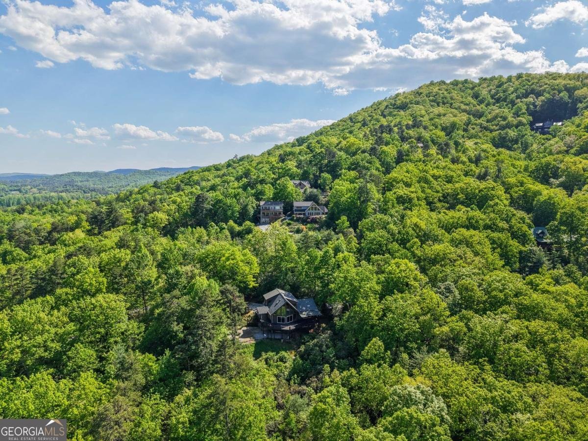 410 Falling Springs Tiger - Photo 52