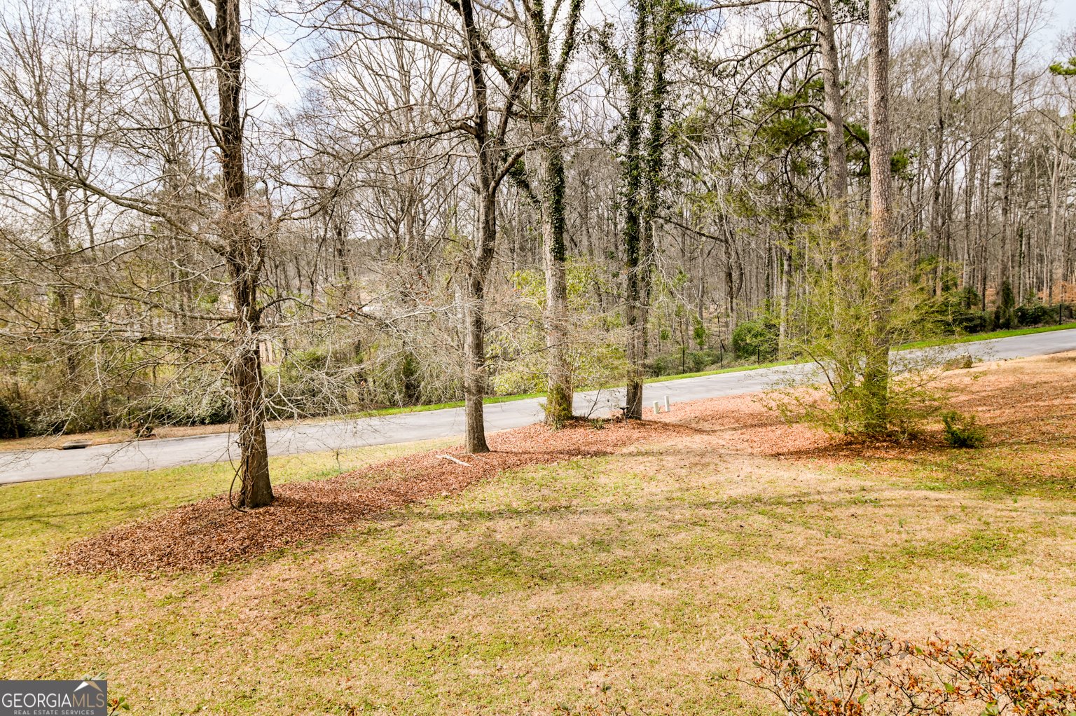 1766 Laurel Ridge Drive Conyers - Photo 43