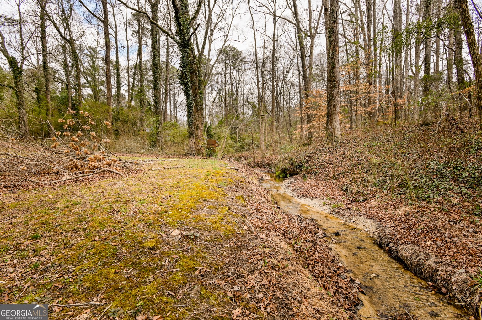 1766 Laurel Ridge Drive Conyers - Photo 52