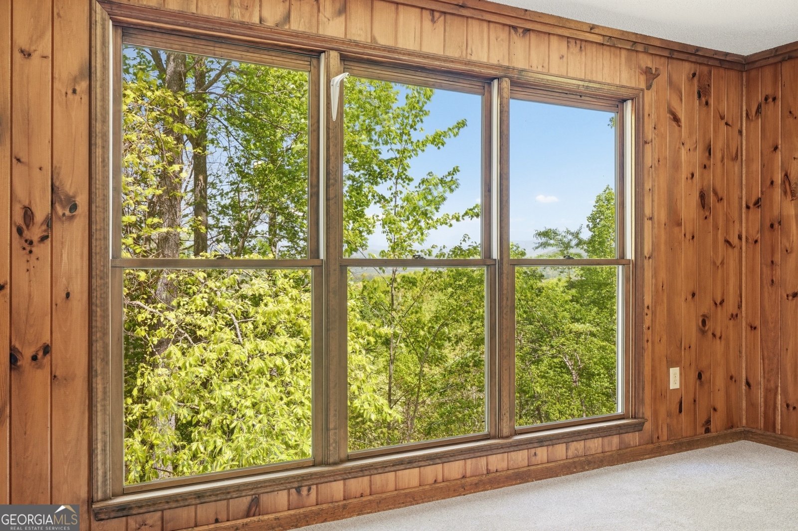 170 High Ridge Road Young Harris - Photo 32