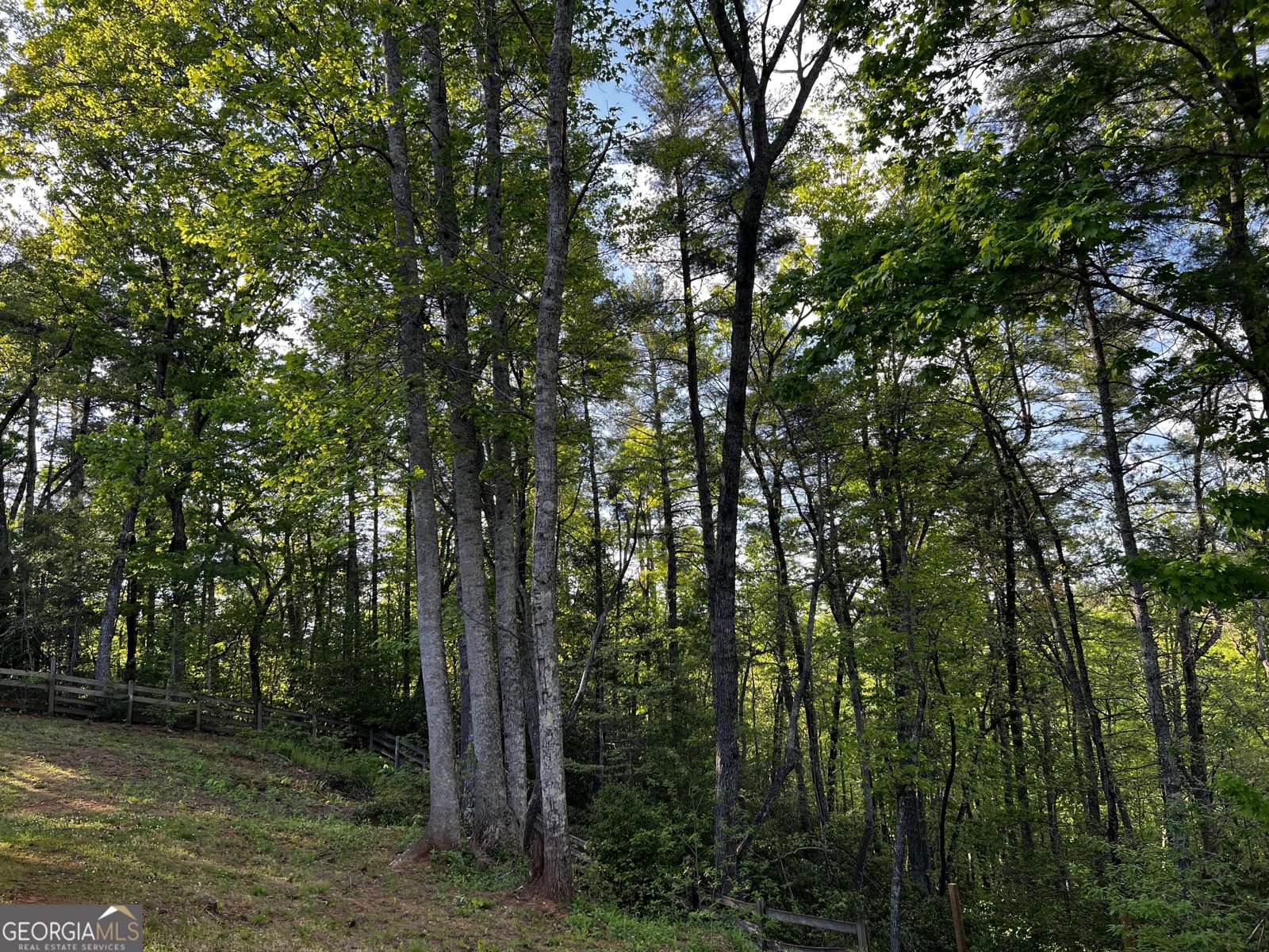 221 Muscadine Road Dahlonega - Photo 14